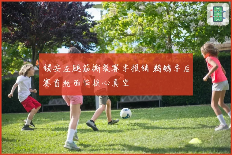锡安左腿筋撕裂赛季报销 鹈鹕季后赛首轮面临核心真空