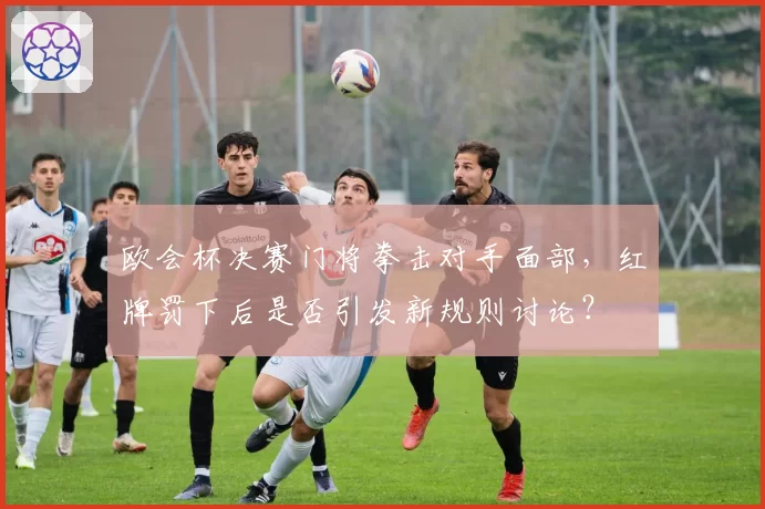 欧会杯决赛门将拳击对手面部,红牌罚下后是否引发新规则讨论?