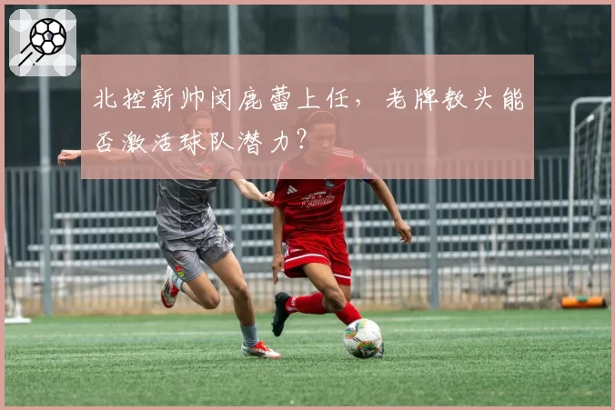 北控新帅闵鹿蕾上任，老牌教头能否激活球队潜力？